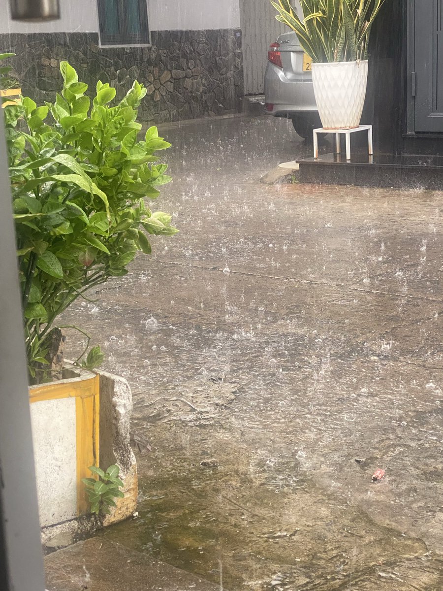 Mynro5's tweet photo. 🌧️ https://t.co/jsdJBtIjVv