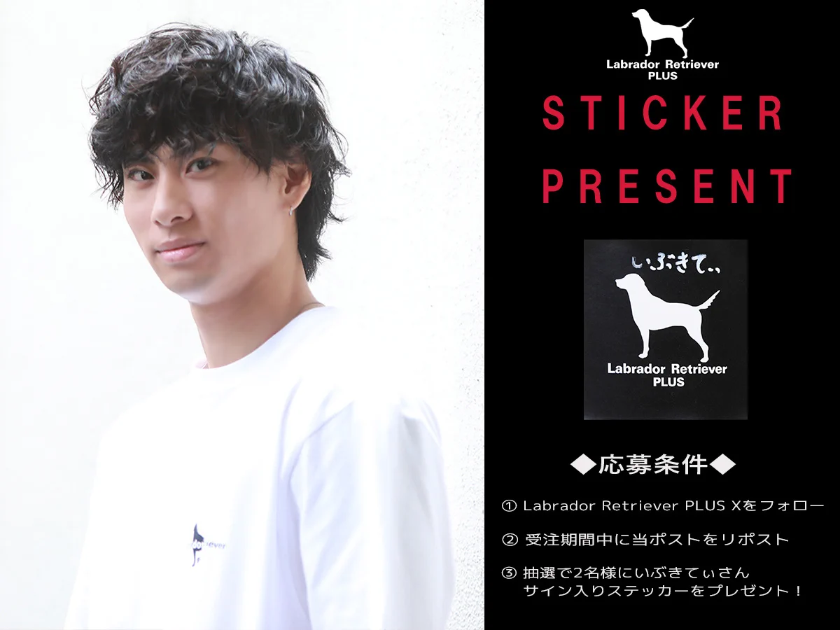 Labrador Retriever PLUS on X: 