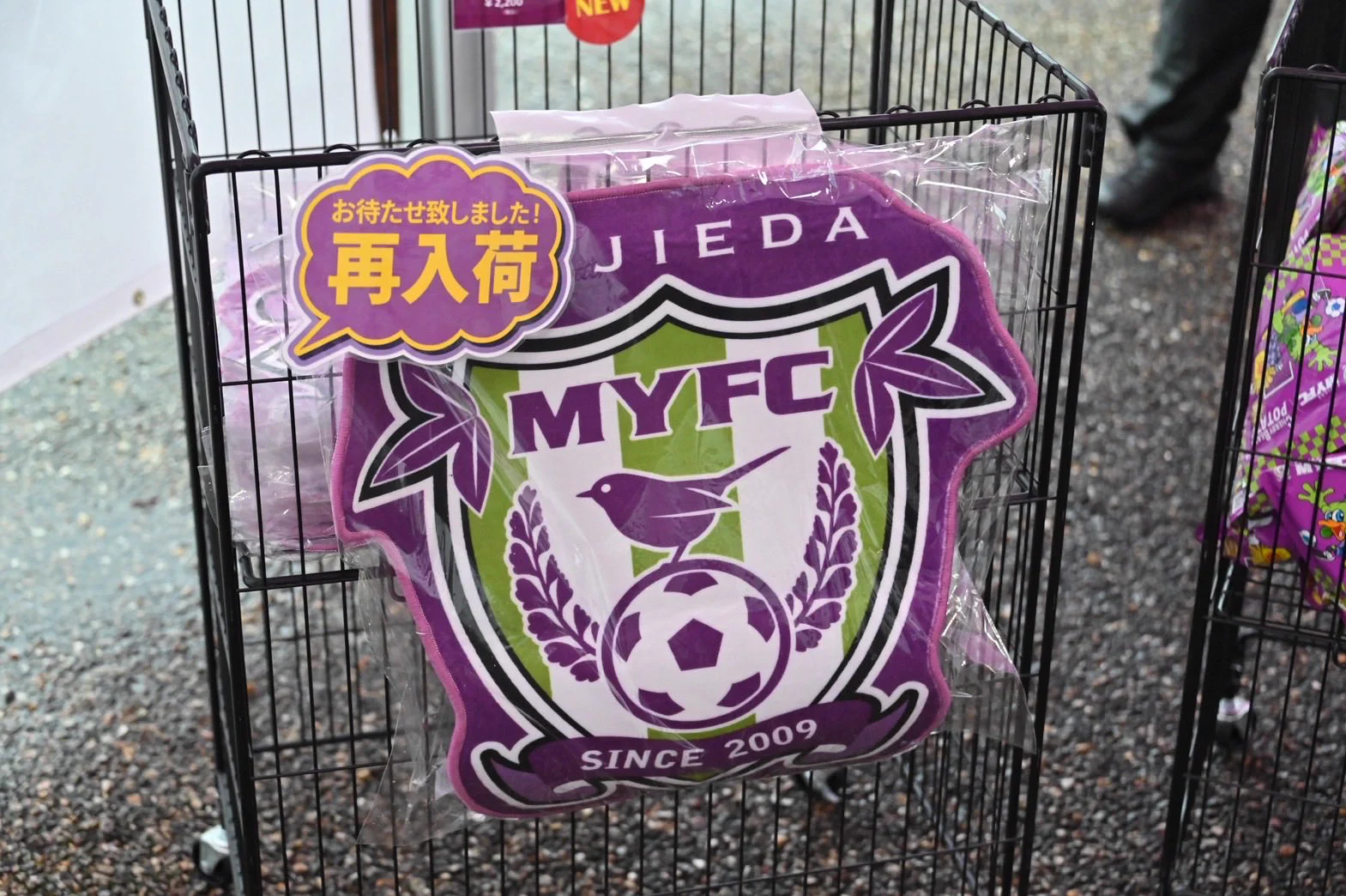 藤枝MYFC on X: 