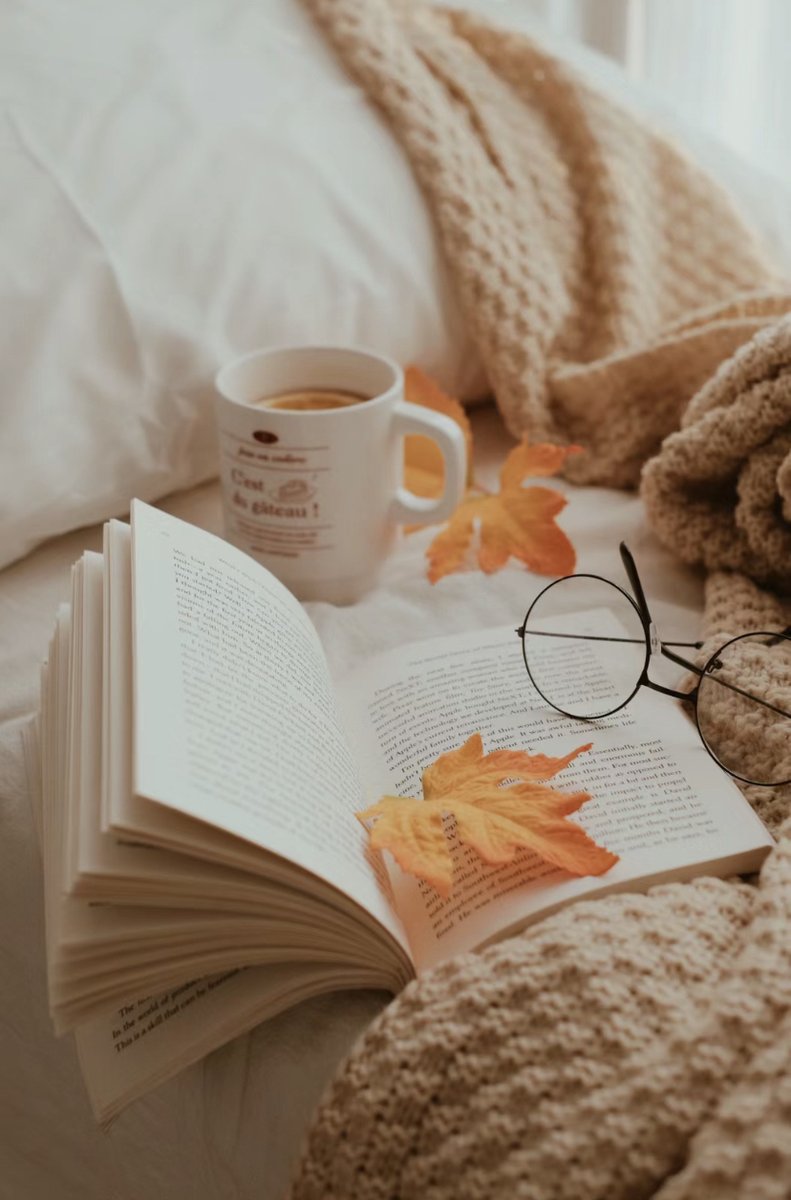 ShenaBergub7's tweet photo. Leer 15 páginas de novela cada día me recuerda: los mejores viajes empiezan en la página 1. https://t.co/J3kSwDvi9L