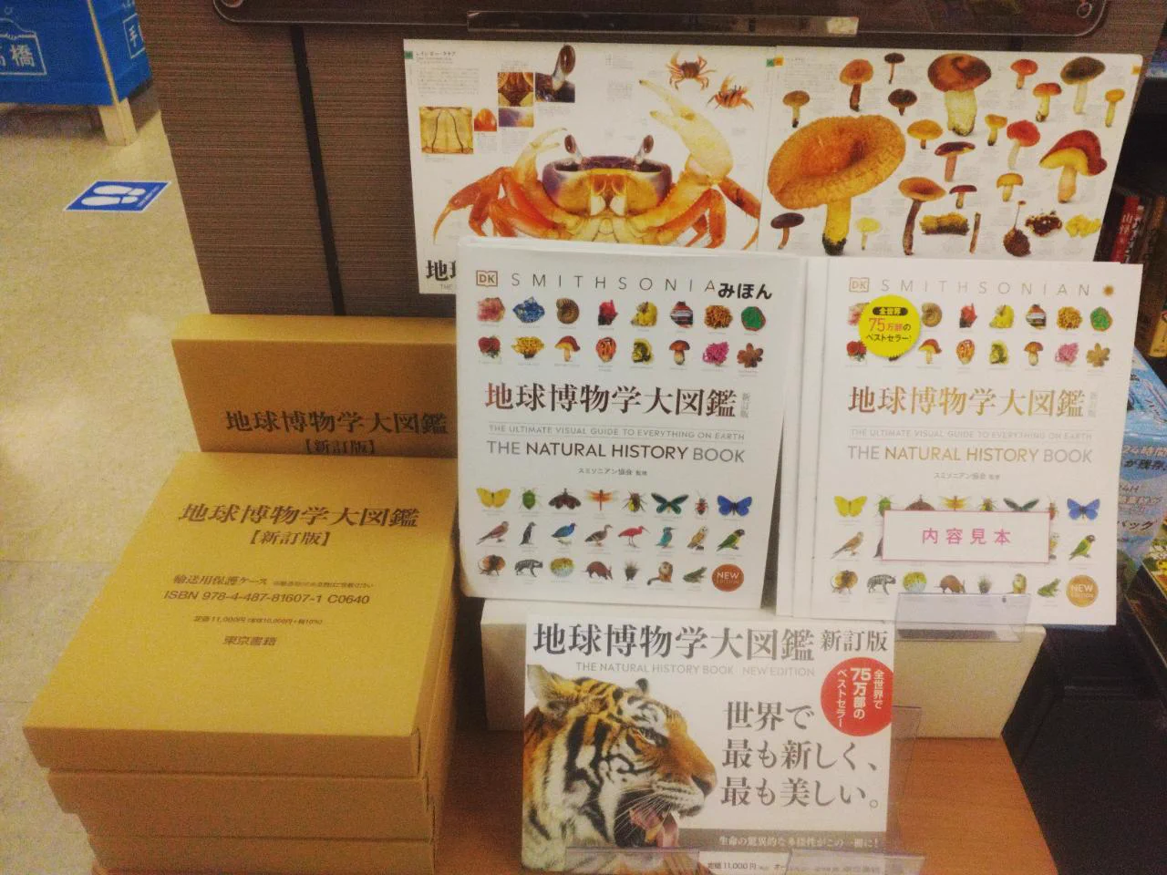 未来屋書店 山崎店 on X: 