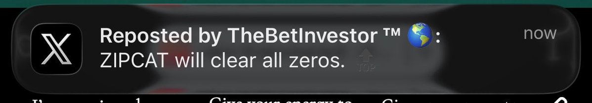 saintjamesIX's tweet photo. What is happening? $ZIPCAT is happening.

Big thank you to @TheFtXMaestro for the repost.

ZIPCAT is destiny for me, and every build, every move, and every decision is geared towards one thing: building $ZIPCAT into one of the billion-dollar Cats in crypto history.

We’re going for it. 🐈‍⬛⚡️