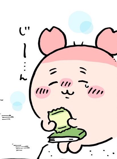 SDzm88's tweet photo. 카니 다른먼작귀들보다 묘하게 더 뚱띵이인거같은 느낌이 있음 핑크색이라서 그런가   너무커여워 https://t.co/5YOO29CNh6