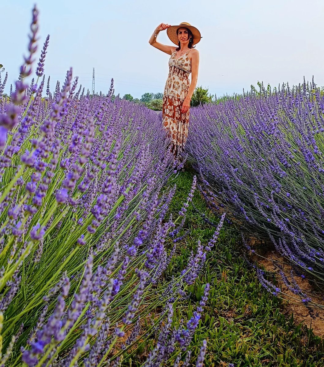guitabares's tweet photo. 💜Mood of the day💜... #lavanda #campodilavanda #massarosa #camminare #walking #travel #travelinside #travelphotography #viaggiare #wanderlust #goodmorningworld https://t.co/hQSKLJrxsd