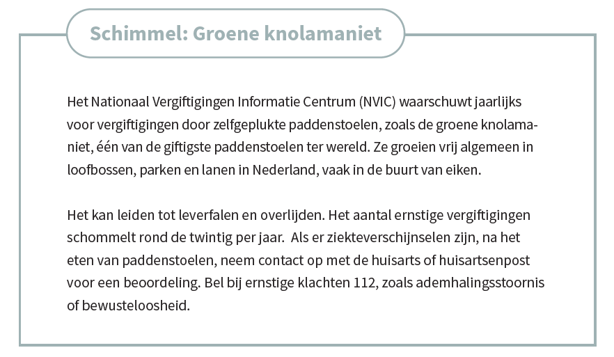 NLRCFirstAid's tweet photo. Het lijkt voedselvergifiging, maar is het niet! Jaarlijks wordt gewaarschuwd voor zelfgeplukte giftige #paddenstoelen en benoemd in de Nederlandse Richtlijnen Eerste Hulp. Denk aan de Groene Knolamaniet (Amanita phalloides), één van de giftigste paddenstoelen ter wereld. #EHBO https://t.co/7onz3TpNLn