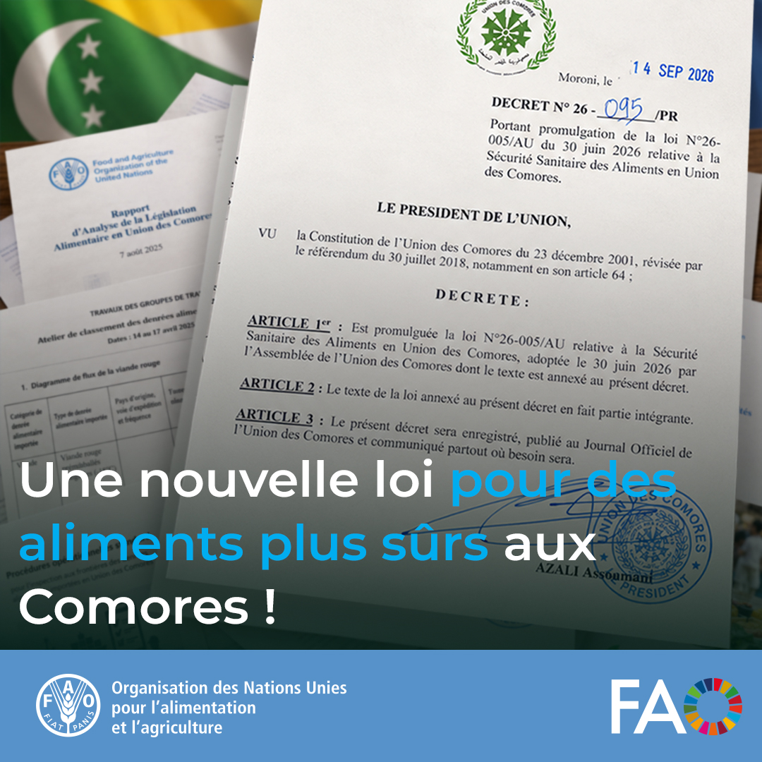 FAOComoros's tweet photo. 🇰🇲Mieux protéger les consommateurs et garantir des aliments plus sûrs aux #Comores.
La nouvelle loi promulguée le 14 septembre renforce la sécurité sanitaire des aliments, après un travail national soutenu par l’expertise de la @FAO, notamment du #LEGN. https://t.co/XSkIbll8Cd