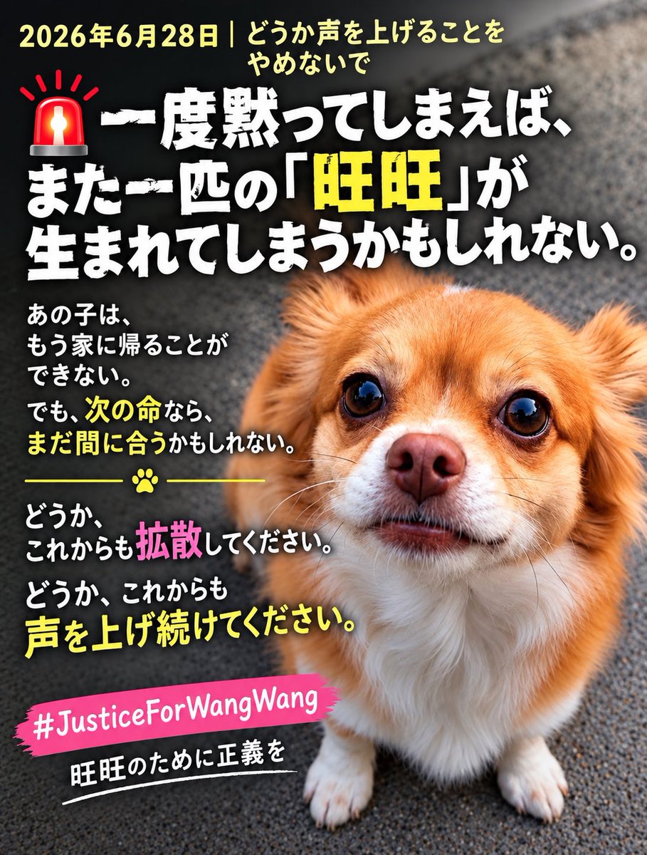 slainslainslain's tweet photo. 旺旺ちゃんが今日もXのニューストピックに上から3件並んでいます🚩🚩🚩
旺旺チームの皆さま、声を絶やさずに、長期戦頑張っていきましょう🔥！！
#JusticeForWangWang
#旺旺ちゃん親子の無念を忘れない 
#旺旺月命日 
#旺旺の受けた地獄の苦しみを彼らに 
#anonymous 
#動物虐待反对 https://t.co/hfpodbbQFb
