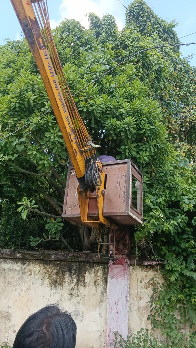 ESD_GARDANIBAG's tweet photo. Tree trimming work at Anisabad section and Gardanibagh section for safer lines and uninterrupted power supply https://t.co/lt8o4yHQlR