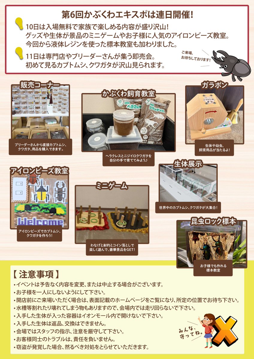 anchan_kabukuwa's tweet photo. かぶくわエキスポ11日の卓配置と出店者様リストになります。

今回は半分位がエキスポ初出店となりました。
それぞれXやなかよしのYouTubeで紹介していします。

10日に先着2000名まで11日に限り全てのブースで使える3000円以上の生体1点につき1枚使える500円引券をお渡しします。
お持ちの方は是非ご活用下さい。
使用の際ブースの方に渡し、済みと記載いただきお客様へご返却いたします。

入場についてです。
整列場所は3日前にお知らせする予定です。
その際に何時から整理券を渡すかもお知らせ致します。
整理券をお渡しする際に入場料をいただき、リストバンドもお渡しします。
例年ですと10時〜の入場ですので、9時40分に集合いただき、番号順に並んでいただき、スタッフの案内で開場へ誘導いたします。
直接会場にしても整列されている方が優先なので整列した方が入場しきってからの入場となります。
イオンの方にも整列場所や案内を数日前からださせていただくこととなっております。

その他詳細は後々お知らせしていきますのでよろしくお願いします。