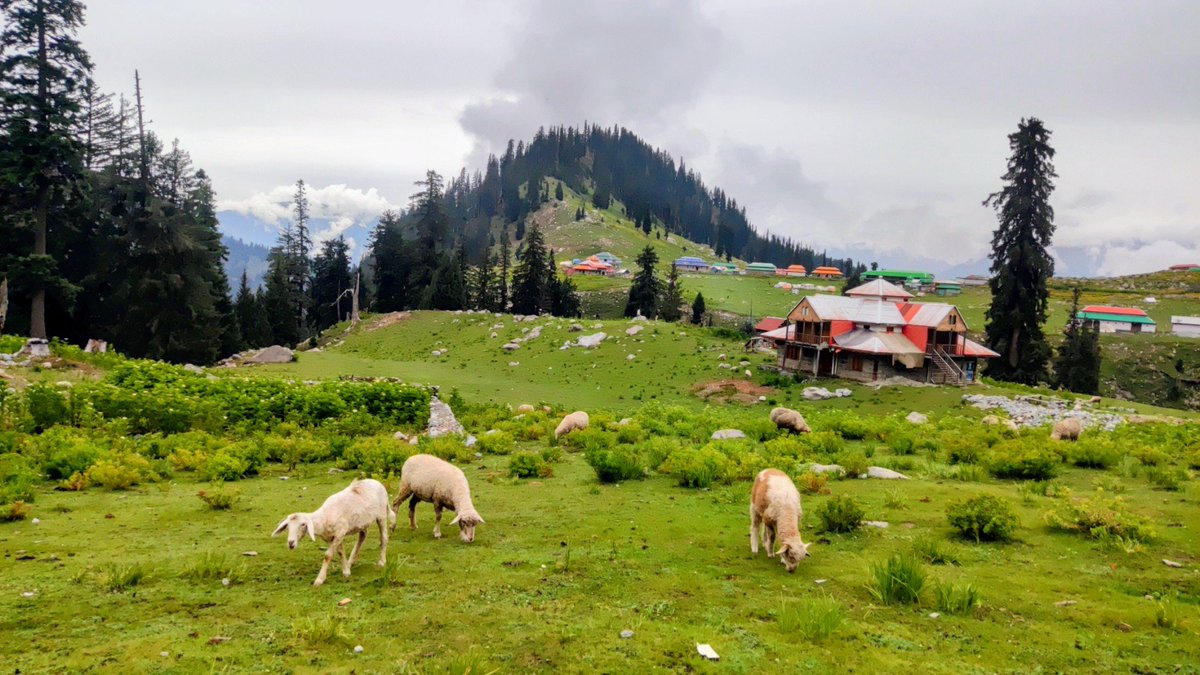KumratTourism's tweet photo. This #beautiful and quiet #place is #located opposite the beautiful views of Raja Banda, which is located in front of Jahaz Banda #Pakistan. https://t.co/00wSJI5muV