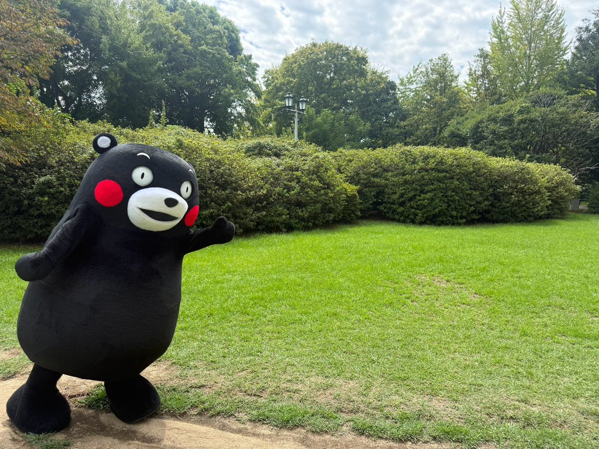 55_kumamon's tweet photo. おはくま〜！よ〜し、行くかモン☆ https://t.co/vtj07wEzaV