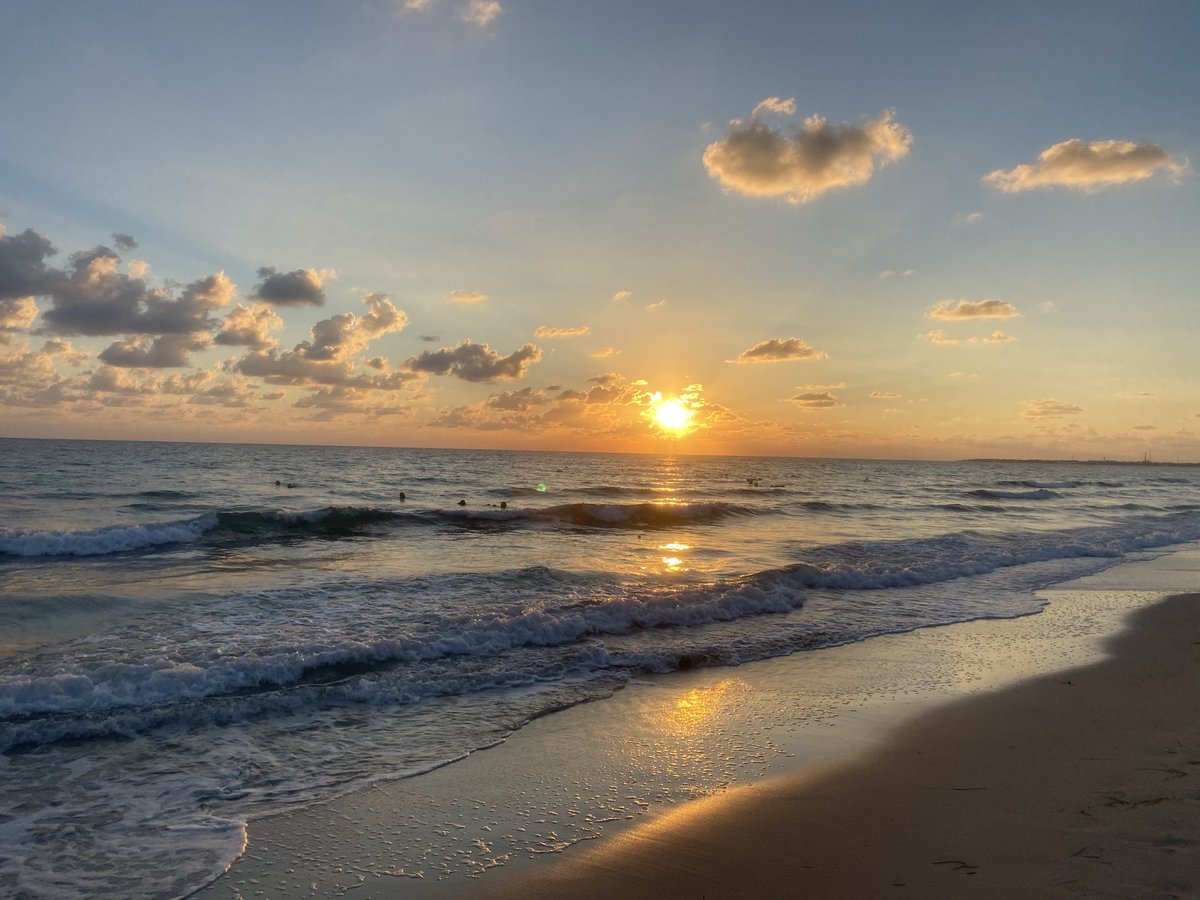 Oussama_Chourou's tweet photo. Morning 🌞 run 🏃‍♂️:
Running Keeper 100 Days : Day 80/100
#AmoCorrere #RunBlue 
#RunIsland #RunToDeath
#RunningClubMidoun https://t.co/WA5r11XNSa