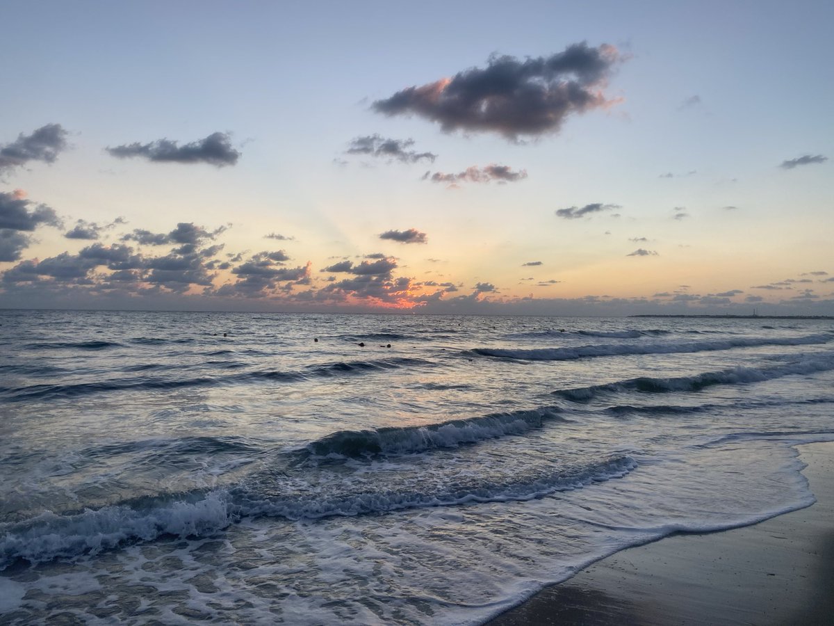 Oussama_Chourou's tweet photo. Morning 🌞 run 🏃‍♂️:
Running Keeper 100 Days : Day 80/100
#AmoCorrere #RunBlue 
#RunIsland #RunToDeath
#RunningClubMidoun https://t.co/WA5r11XNSa