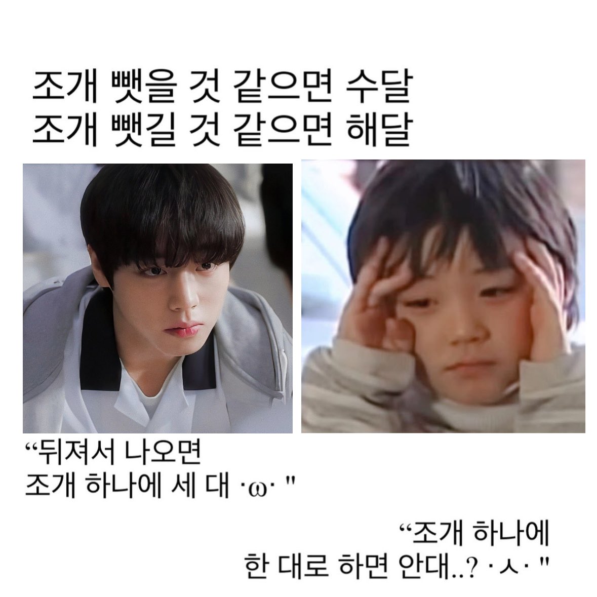 may_toqur's tweet photo. 조개 뺏을 것 같으면 수달
조개 뺏길 것 같으면 해달 https://t.co/Du7d1Y2bse