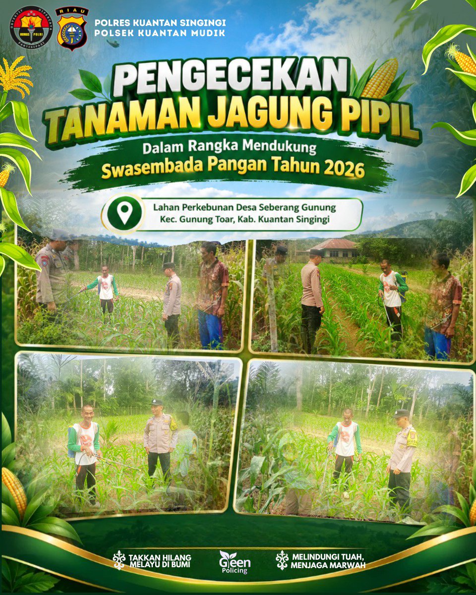 ManarYuris's tweet photo. Personil Polsek Kuantan Mudik melaksanakan pengecekan pertumbuhan jagung pipil Desa Seberang Gunung  Kec. Gunung Toar untuk mendukung program ketahanan pangan.
#Polri
#SwasembadaPangan
#PoldaRiau 
#PetaniJagung https://t.co/uFmJRVNFhL