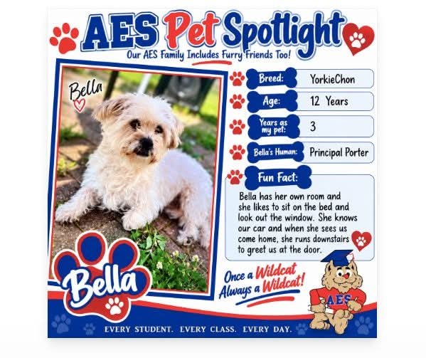 sharonhporter's tweet photo. AES Pet Spotlight! https://t.co/janoUybxPk
