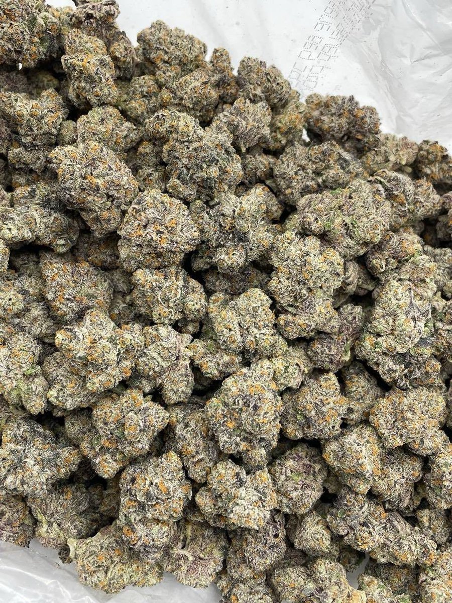 walesbud's tweet photo. Weed Caerwys, Nannerch, Cilcain, Gwernaffield, Pantymwyn, Buckley, Ewloe, Hawarden, Broughton, Saltney, Rossett, Holt, Gresford, Marford, Llay, Brymbo, Coedpoeth, Rhosllanerchrugog, Johnstown, Ruabon, Chirk, Cefn Mawr, Trevor, Acrefair,Penycae, Rhosymedre, Overton, Bangor-on-Dee. https://t.co/BeLSPza2s2