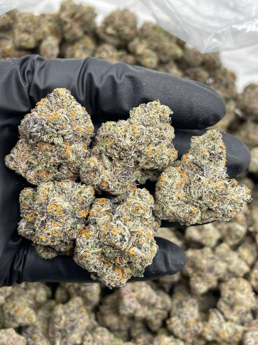 walesbud's tweet photo. Weed Caerwys, Nannerch, Cilcain, Gwernaffield, Pantymwyn, Buckley, Ewloe, Hawarden, Broughton, Saltney, Rossett, Holt, Gresford, Marford, Llay, Brymbo, Coedpoeth, Rhosllanerchrugog, Johnstown, Ruabon, Chirk, Cefn Mawr, Trevor, Acrefair,Penycae, Rhosymedre, Overton, Bangor-on-Dee. https://t.co/BeLSPza2s2