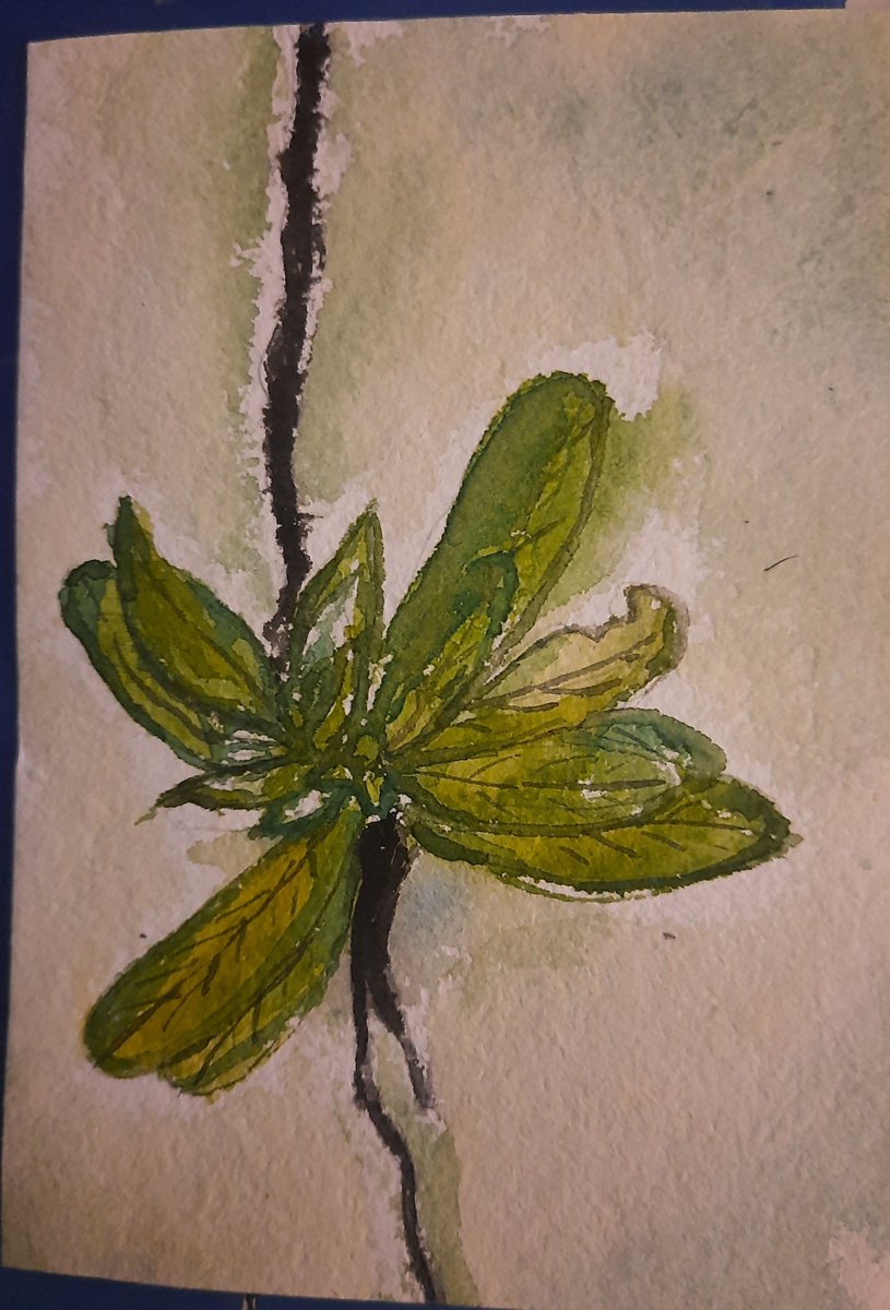 AdhiKalam's tweet photo. Green leaves inside the cracks 
#watercolor
#leaves
#WatercolorArt 
#painting https://t.co/H0SfBwHMOq