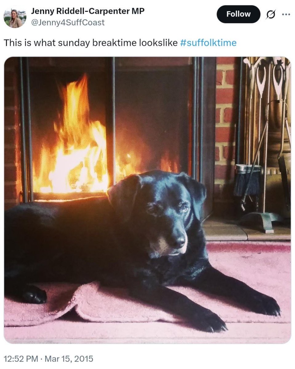 Shot_fox's tweet photo. Oh dear, oh dear. The Internet never forgets … https://t.co/OOyObktY10