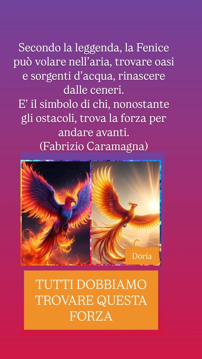 doriadepolo's tweet photo. https://t.co/wuFqH81o7Q