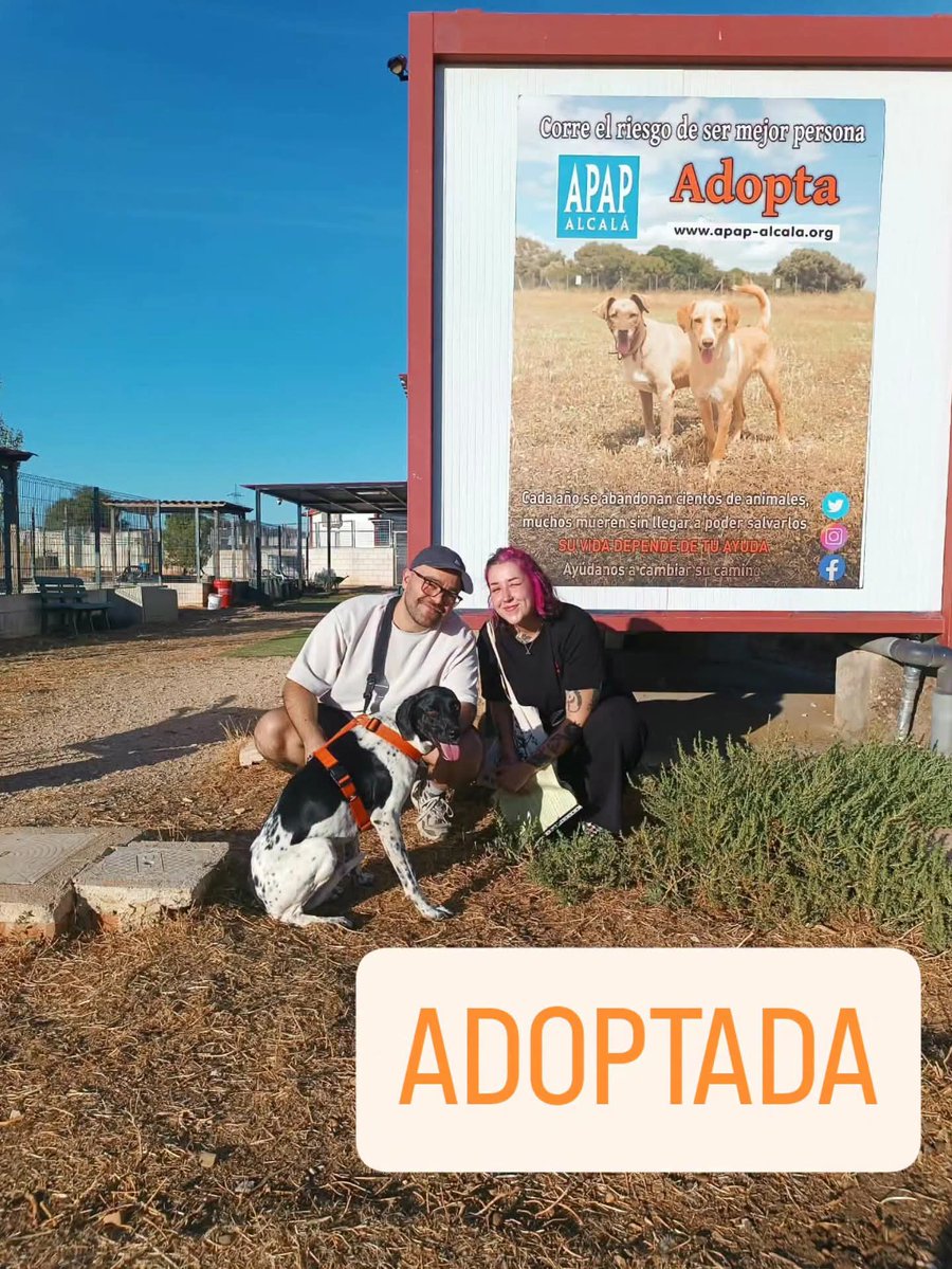 APAPAlcala's tweet photo. Nuestra preciosa MAYELI ADOPTADA!
Estamos muy felices por ella porque es una perra que cada día estaba peor en el albergue, asi que solo queremos agradecer a su nueva familia todo el cariño que le están dando y el hueco que le han hecho en su hogar
#Adopta✍️apap@apap-alcala.org https://t.co/rUeTP2ys8w