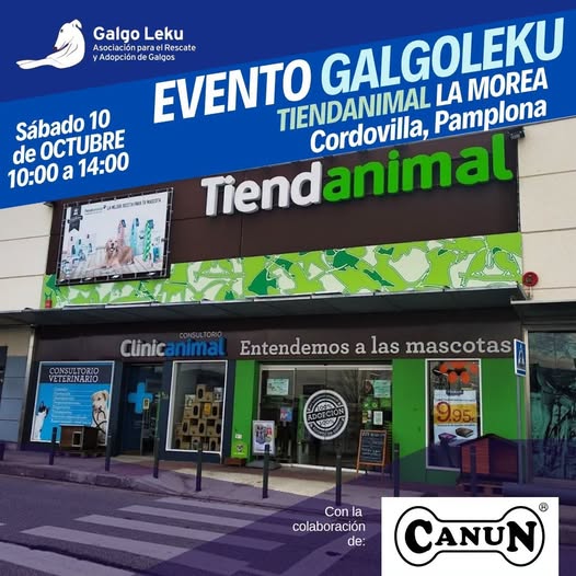 galgoleku's tweet photo. PRÓXIMO EVENTO GALGOLEKU NAVARRA EN TIENDANIMAL 
Si te quedaste con ganas, apunta la siguiente fecha: sábado 10 de octubre en Tiendanimal La Morea, Pamplona. De 10:00-14:00h. Tendremos calendarios y lotería de Navidad!!
#galgoleku #adopta #acoge #adoptaungalgo #galguitisaguda https://t.co/Lgf2yhsXuc
