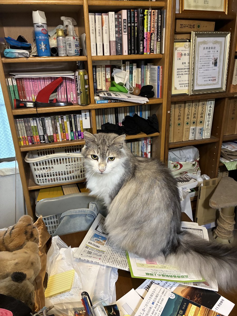 kramiko7's tweet photo. 今日のふじくん https://t.co/Z4W76xQfnD