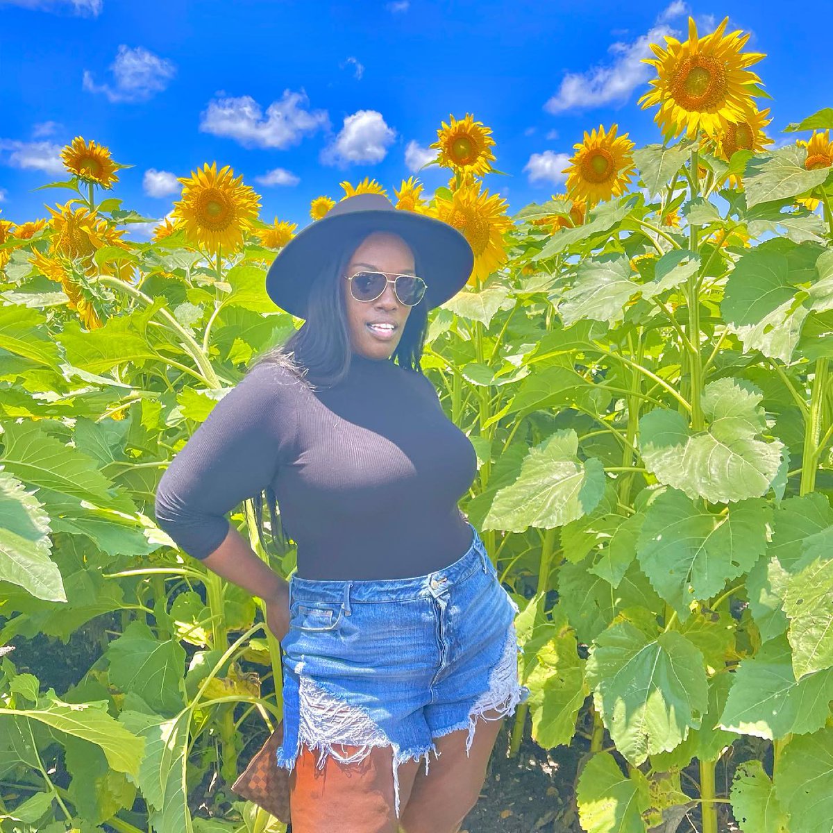 82996544's tweet photo. "A sunflower field is like a sky with a thousand suns. " ― Corina Abdulahm-Negura 🌻
•
•
•
Although this field was underwhelming, I couldn’t help but be happy! I’m on the search for the perfect sunflower field, let me know where to go 🔆
•
• https://t.co/Liti5AfTc8