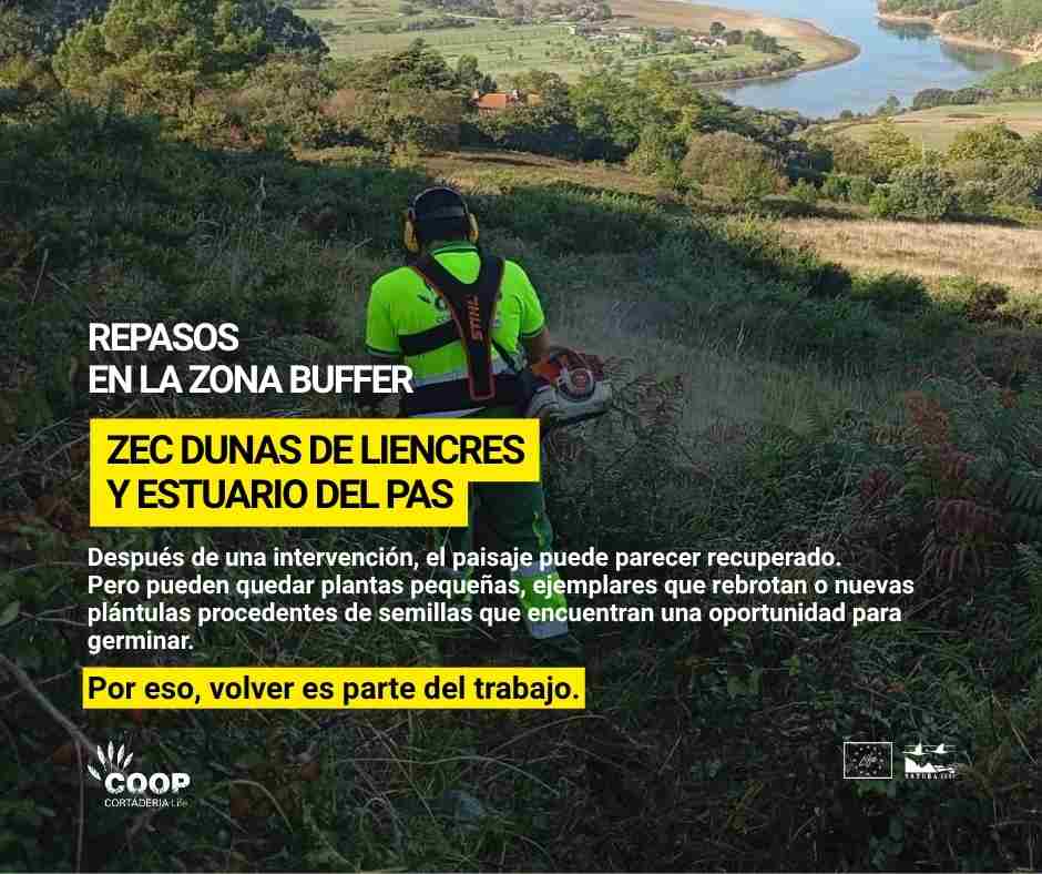stopcortaderia's tweet photo. 🔎 Volvemos sobre el terreno.

🌱 Estos repasos permiten detectar nuevas plantas, controlar rebrotes y evitar que pequeños focos vuelvan a convertirse en un problema.

👉Actuar. Revisar. Volver a actuar cuando sea necesario.
Así se consolida la recuperación del territorio. https://t.co/E2OcoNfef9