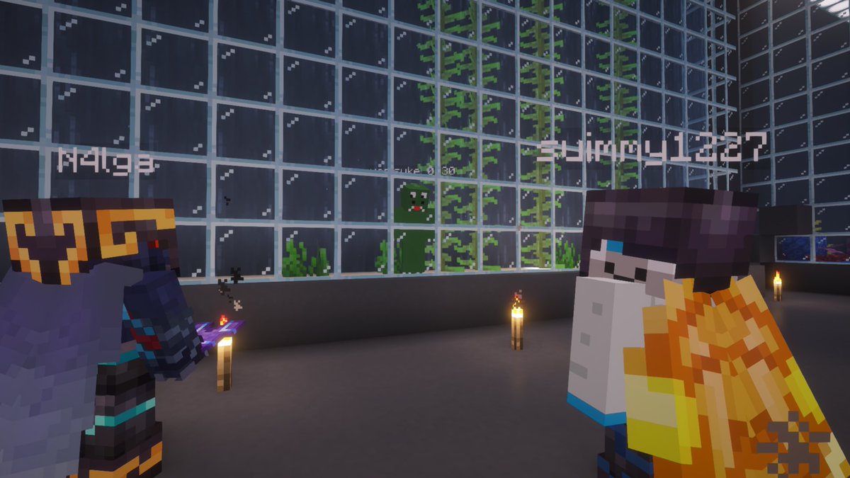 suimmypcir's tweet photo. 水族館にわにが出没中
#50人クラフトメンシ
#Minecraft https://t.co/lavjHEadK9