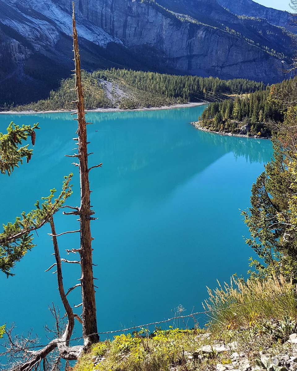 vinifluxo's tweet photo. #oeschinensee #bluelake #amazingswitzerland #schweiz #bestnatureshots #switzerland #suisse #switzerland_vacations #alps #nature_lovers #inlovewithswitzerland #svizzera #swiss #bergwelten #naturephotography #awesome_shots #wanderlust #view https://t.co/FhUE8s92PZ