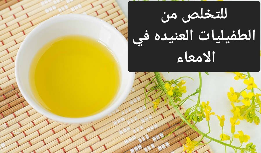 arabaltmed's tweet photo. للتخلص من الطفيليات المتحوصله في الامعاء 
هذا الموضوع لمن أراد العافيه 
علاج قديم من ايام ما قبل التاريخ ، كانت الجدات تعتمد عليه بالفطرة، واليوم يعود ليتصدر قائمة الـ Biohacking والعلاجات الحيوية الحديثة.
✔️"لفائف زيت الخروع على البطن طوال الليل".
ليست مجرد وصفة عابرة، بل أداة سحرية لإعادة توازن الجسم من الداخل.
 إذا كنت تعاني من خمول الأمعاء أو تراكم السموم، تابع معي.. 👇

ما هي "لفائف زيت الخروع" (Castor Oil Packs)؟
السر يكمن في قدرة هذا الزيت الفريد على اختراق الجلد بعمق بفضل "حمض الريسينوليك".
 عند تطبيقه مع لفّ مضغوط ودافئ طوال الليل، فإنه يحفز الجهاز اللمفاوي، ويدعم الكبد، ويعيد الحيوية للأعضاء الداخلية.

أهم الفوائد التي ستلاحظها:
1️⃣ تنظيف القولون وتنشيط الأمعاء: يحرك الركود بفعالية مذهلة لمرضى الإمساك المزمن.
2️⃣ ديتوكس طبيعي للكبد: يعزز تدفق الدورة الدموية واللمفاوية للتخلص من السموم.
3️⃣ تخفيف الالتهابات والانتفاخات: يهدئ تهيج القولون العصبي ويقلل من بروز البطن الناتج عن الغازات والسوائل المحتبسة.

✅️كيفية التطبيق الصحيح (خطوة بخطوة):

احضر قطعة قماش قطنية أو "صوف" غير مصبوغة.

اغمر القطعة بزيت خروع عضوي (معصور على البارد وخالٍ من الهكسان).

ضع القماش على كامل البطن (من أسفل الصدر إلى الحوض).

ضع فوقه طبقة بلاستيكية خفيفة (تستعمل لتغليف الطعام) لحماية الملابس ، ثم قم بلف البطن بمشد أو شال بشكل "مضغوط وثابت" لضمان ثبات الحرارة والضغط طوال الليل.

التكرار والمدة:
للحصول على أفضل النتائج، يُنصح بتطبيق هذه اللفائف من 3 إلى 4 مرات أسبوعياً. النوم بها طوال الليل يمنح الجسم وقتاً كافياً لامتصاص الزيت وتفعيل عملية الاستشفاء أثناء مرحلة البناء الخلوي (النوم).
مهم جدا عمل فحص التحسس قبل تطبيق اللفائف

⚠️ محاذير هامة جداً:
رغم فوائدها العظيمة، يمنع استخدامها تماماً في الحالات التالية:
❌ أثناء فترة الدورة الشهرية (لأنها تزيد من تدفق الدم).
❌ للمرأة الحامل (قد تحفز الانقباضات).
❌ في حالات الإسهال الحاد أو وجود جروح مفتوحة على البطن.

العودة للطبيعة وبأدوات بسيطة قد تغنيك عن الكثير من المعقدات. هل جربتم لفائف زيت الخروع من قبل؟ وما هي أكثر طريقة تفضلونها لتنظيف الجسم؟
شاركوني تجاربكم في التعليقات، ولا تنسوا إعادة النشر لتصل الفائدة للجميع. 🌿✨