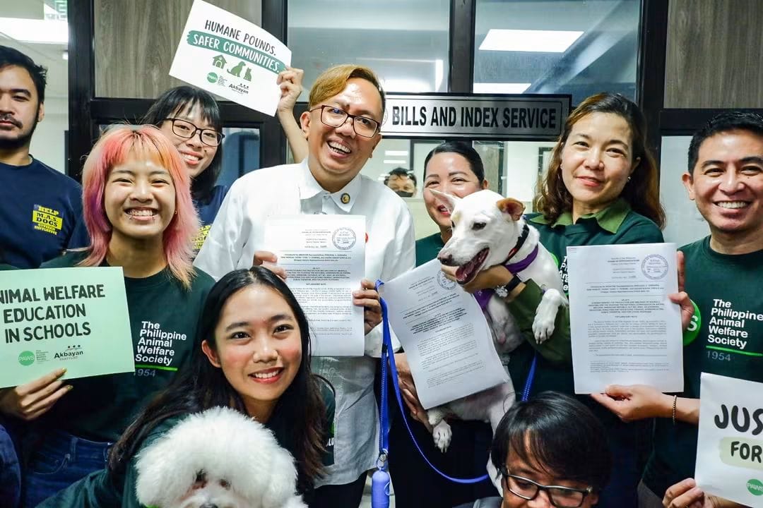 inquirerdotnet's tweet photo. ‘JUSTICE FOR ANIMALS’

LOOK: Akbayan Rep. Perci Cendaña, alongside representatives from the Philippine Animal Welfare Society (PAWS) and some therapy and rescue dogs, filed House Bill 11495, or the Animal Life Advocacy and Guardianship Act (ALAGA).

The bill seeks to systematically strengthen accountability for animal cruelty and promote proper, humane treatment of animals nationwide.  | 📷: Cendaña/Facebook via Hazel Lo-ar, https://t.co/E0yNJSWXKw trainee