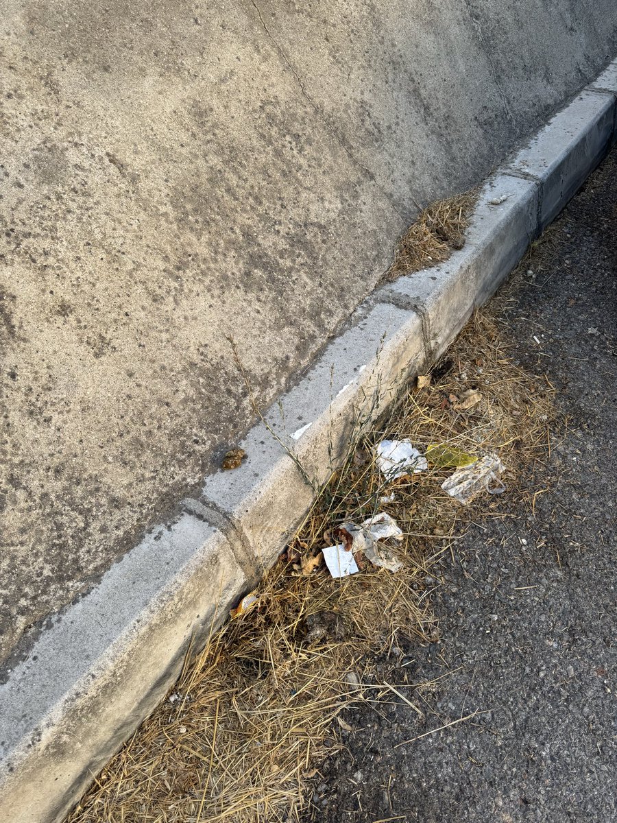 dygtnyr's tweet photo. @narliderebel Atatürk mahallesi taştepe sokak Abdi ipekçi caddesi birleşimi!! Sokak süpürülmüyor, hayvan pislikleri içinde arabaya binip çocuklarımızı bu sokakta yürütmek zorundayız. Lütfen ilgilenin. https://t.co/j41NGkMCMd