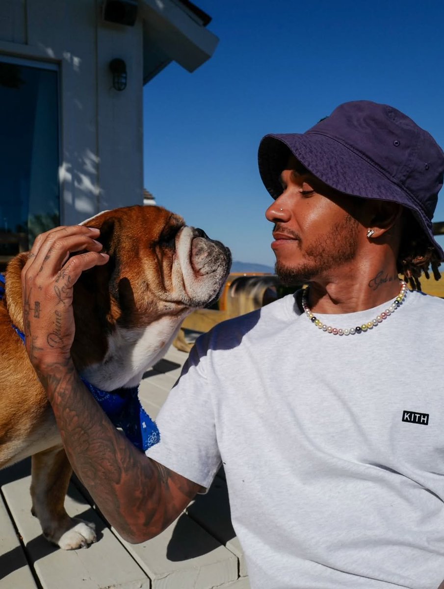 LH44Fanpage8's tweet photo. Roscoe's trainer shared a beautiful, emotional message about him 🥺

One year.
In my life I have cried over unworthy men, over unworthy "friends". I've cried over unworthy jobs, unworthy bosses & even "missed" opportunities. None of them worth any of it.

The river I cried over you, dear Roscoe, was worth ever single tear though. Letting you go the way we had to was the most painful thing I've ever had to go thru and you weren't even mine. You were Lewis's baby through and through. I loved you like you were mine though.

When Coco went so suddenly, I felt I had to help ensure you lived a long, healthy life. I saw how you were held sacred in the most tender place in Dads heart & I knew I'm good caring for sacred things. Secretly, you& I both knew you were the one taking care of Dads. So I paid close attention to your wellness. You made it so easy. You loved everything we did for you-vets, acupuncture, lasers, even the broccoli! Thru a lot of practice, you taught me to advocate for w the vets in I never had before.

When you came down w a resp infection, it never occurred to me that something could go wrong inside the animal hospital. I thought you'd receive treatment & bounce back like before. Not to be tho. So you summoned Dads bc you needed him & you knew he'd move mountains to come quick. In your cheeky wisdom, this was your way of having us not only be there for you, but also for each other as we had to walk thru a ferocious week.

After you were gone, i experienced a grief like no other. I learned society has odd rules about grieving and even more about grieving dogs. So I retreated& cocooned myself because you were worthy of it. I'm still growing through it. There's more to say-but not today.

Today I know your grandma Brenda was looking at pictures of you and your Auntie Sam, too. Also uncle Spinz was thinking about you and reminiscing about how loved you were. The kids talked about you today & said a prayer for you tonight.

I think about you all the time. We know who thinks about you the most though & I know you're still trying to take care of him from the invisible realm.

Roscoe I will love you forever, may you & coco be wrestling like lunatics at heavens gate and lifting the angels up.