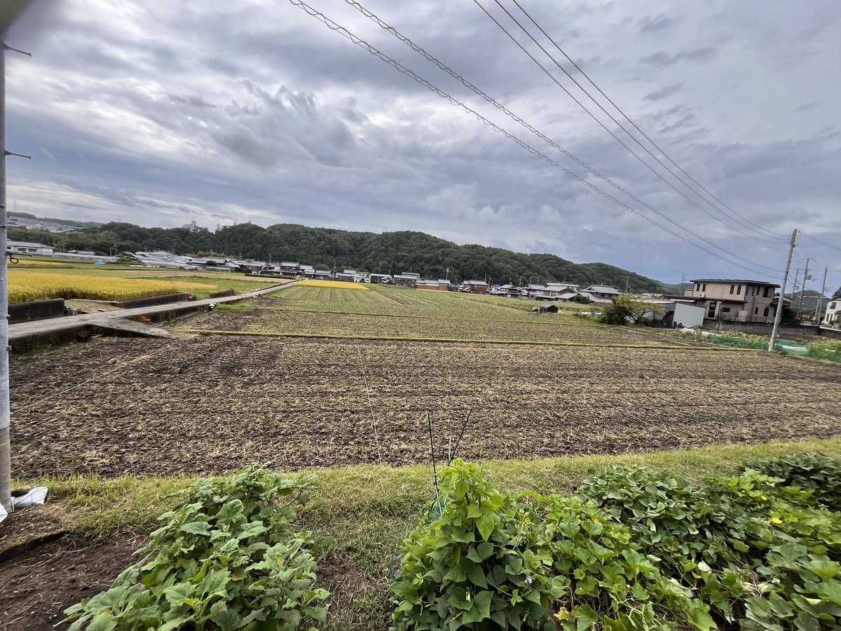 miellabofarm's tweet photo. #npo丹生山田の農地を守る会
というNPO団体で
農家資格がない方も広い農地で栽培を楽しめるように仲介しています。
「この農地やらんか？」お声かけいただき、やりたい方を募集したところ、すぐ見つかりました。
それだけみなさまの農への関心が高まっているってことですね😊
#自然農　#自然栽培 https://t.co/oePBP2PlL4