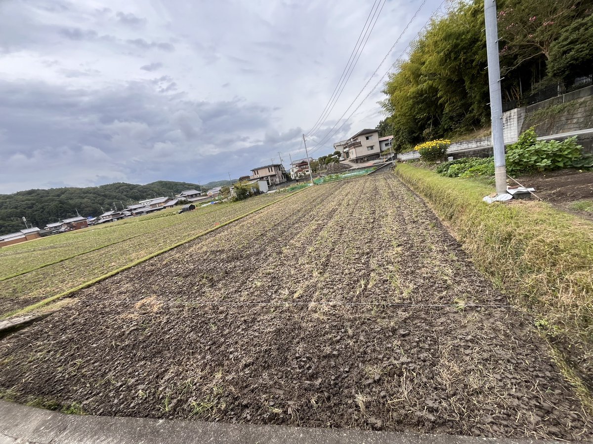 miellabofarm's tweet photo. #npo丹生山田の農地を守る会
というNPO団体で
農家資格がない方も広い農地で栽培を楽しめるように仲介しています。
「この農地やらんか？」お声かけいただき、やりたい方を募集したところ、すぐ見つかりました。
それだけみなさまの農への関心が高まっているってことですね😊
#自然農　#自然栽培 https://t.co/oePBP2PlL4