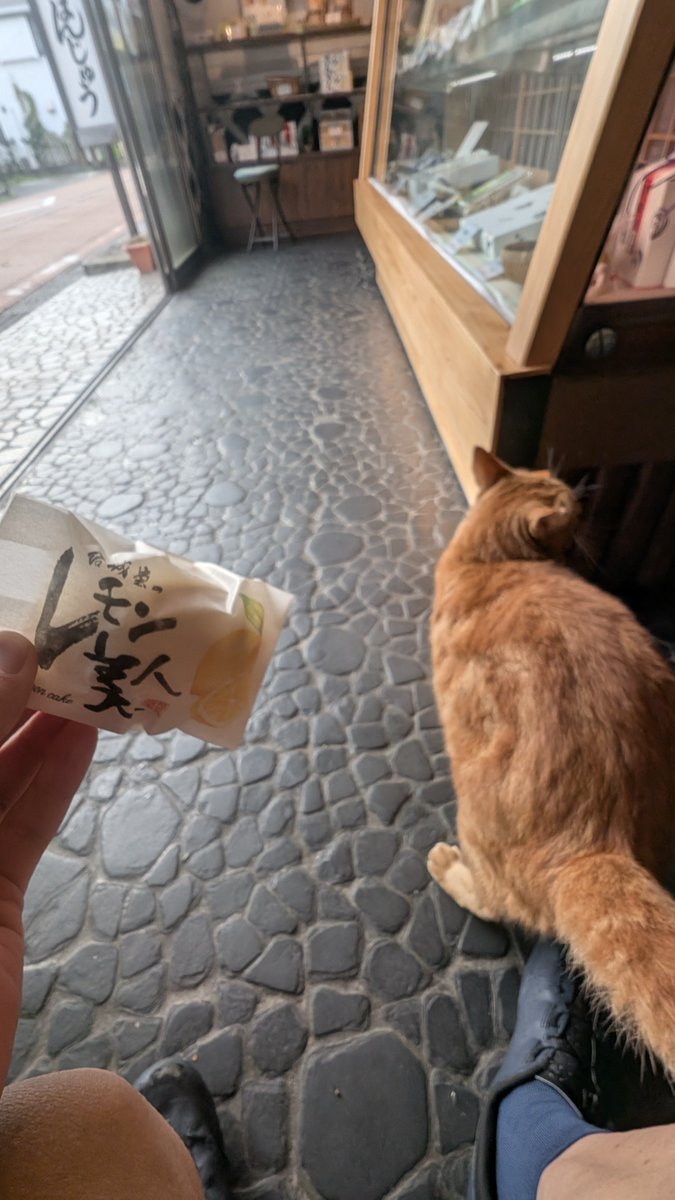 E2_bicycle's tweet photo. 今日はユルポタ饅頭ライド🍡 https://t.co/urSIjP5KOf