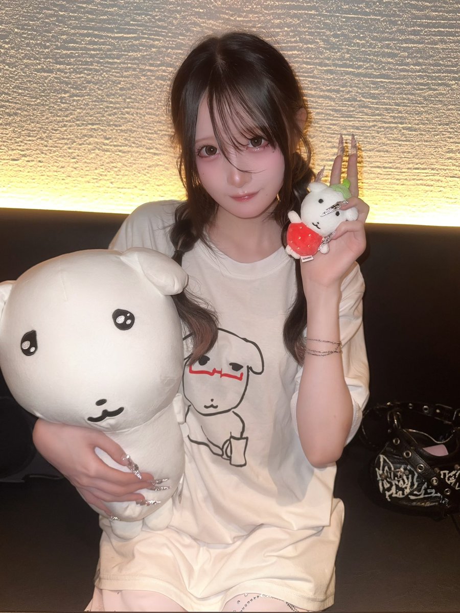_nrzp's tweet photo. クレーンゲームやったことなかったけどガナ活のためにがんばった🍓 https://t.co/l5F6ZwOXAu