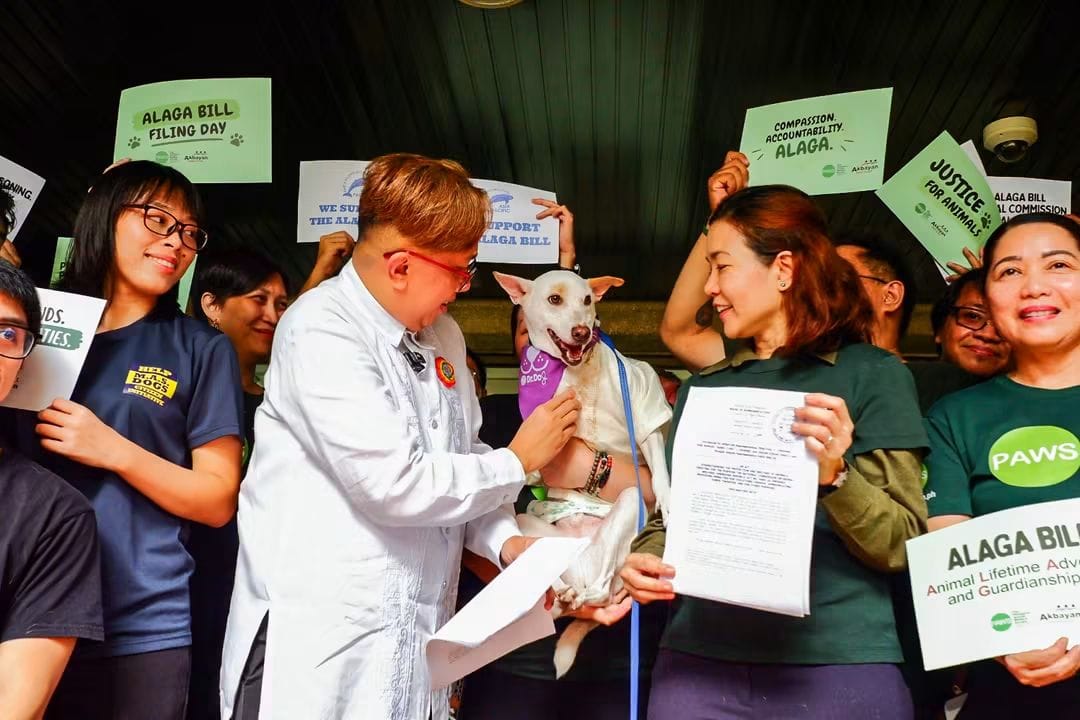 inquirerdotnet's tweet photo. ‘JUSTICE FOR ANIMALS’

LOOK: Akbayan Rep. Perci Cendaña, alongside representatives from the Philippine Animal Welfare Society (PAWS) and some therapy and rescue dogs, filed House Bill 11495, or the Animal Life Advocacy and Guardianship Act (ALAGA).

The bill seeks to systematically strengthen accountability for animal cruelty and promote proper, humane treatment of animals nationwide.  | 📷: Cendaña/Facebook via Hazel Lo-ar, https://t.co/E0yNJSWXKw trainee