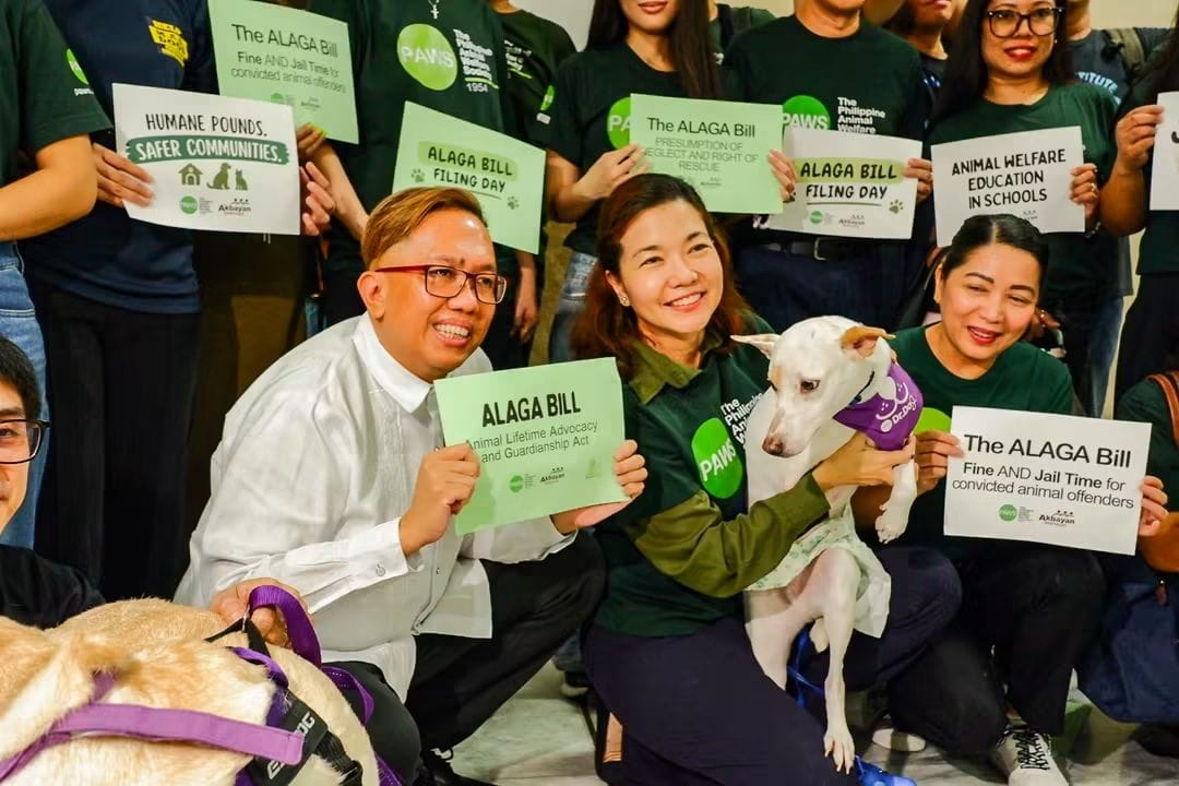 inquirerdotnet's tweet photo. ‘JUSTICE FOR ANIMALS’

LOOK: Akbayan Rep. Perci Cendaña, alongside representatives from the Philippine Animal Welfare Society (PAWS) and some therapy and rescue dogs, filed House Bill 11495, or the Animal Life Advocacy and Guardianship Act (ALAGA).

The bill seeks to systematically strengthen accountability for animal cruelty and promote proper, humane treatment of animals nationwide.  | 📷: Cendaña/Facebook via Hazel Lo-ar, https://t.co/E0yNJSWXKw trainee