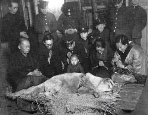 TOPRAK_2_'s tweet photo. 1924 yılında tokyo üniversitesi’nde görev yapan japon profesör Hidesabura Ueno, kendine tren istasyonunda bulduğu küçük
bir köpek yavrusu edindi. Profesör Ueno köpeğine, Japoncada “sekiz tane” anlamına gelen Hachiko adını koydu.

Safkan akita cinsi beyaz bir erkek olan Hachiko, her sabah üniversiteye gitmek için evden metroya yürüyen sahibine eşlik
etti. Metronun dış kapısına kadar getirdiği sahibini uğurladıktan sonra da eve döndü. Çok geçmeden bir akşam üniversite
dönüşünde metronun çıkışında Hachiko’yu kendisini beklerken gördü profesör ve çok şaşırdı. Bu akıllı köpek sahibinin eve
dönüş saatlerini hesaplayarak ve aynı yolu kullanacağını düşünerek metronun önüne gitmişti.

Ondan sonraki bir yıl boyunca her sabah sahibini metroya kadar götürdü, her akşam iş çıkışında da metronun önünde
karşıladı. Saatini hiç şaşırmadı.

ama bir akşam profesör metrodan çıkmadı. Hachiko gözleri metronun kapısında, gece boyunca bekledi.

Bir sonraki akşam profesör yine yoktu. Üçüncü akşam metrodan yine çıkmadı.

Çünkü profesör üniversitede kalp krizi geçirip ölmüştü..

Hachiko her akşam sahibim metrodan çıkar diye inatla bekledi. Haftalar, aylar,yıllar boyunca her akşam tokyo metrosunun
Shibuya İstasyonunun kapısına gitti. Tam 10 yıl boyunca.

Hachiko 12 yaşındayken metronun kapısında öldü.

Bugün tokyo’ya gidenlerin Shibuya İstasyonunun kapısında karşılaştığı köpek heykeli Hachiko’dur.

Japonlar, sadakat ve insan hayvan ilişkisinin sembolü olarak ölümünden hemen sonra 10 yıl boyunca sahibini beklediği yere
Hachiko’nun heykelini diktiler....