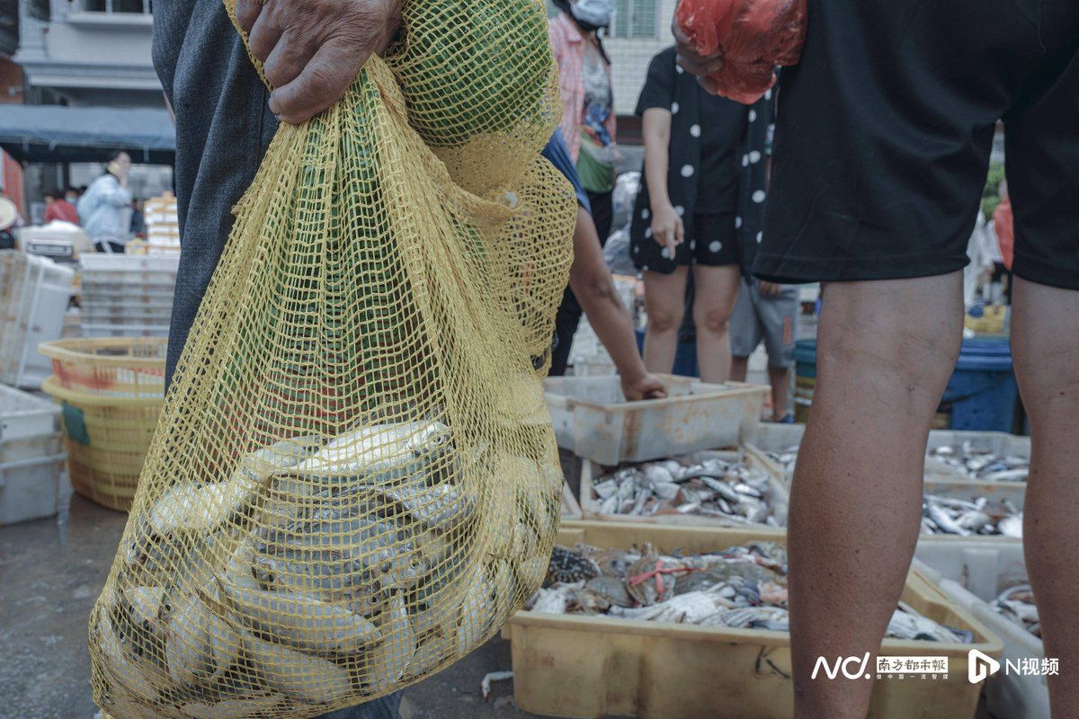minseokmandoo's tweet photo. [Looking at this fresh catch in the shallow fish market, the light and fresh scent of the sea is so nice!]， https://t.co/uCa7AOEnGh