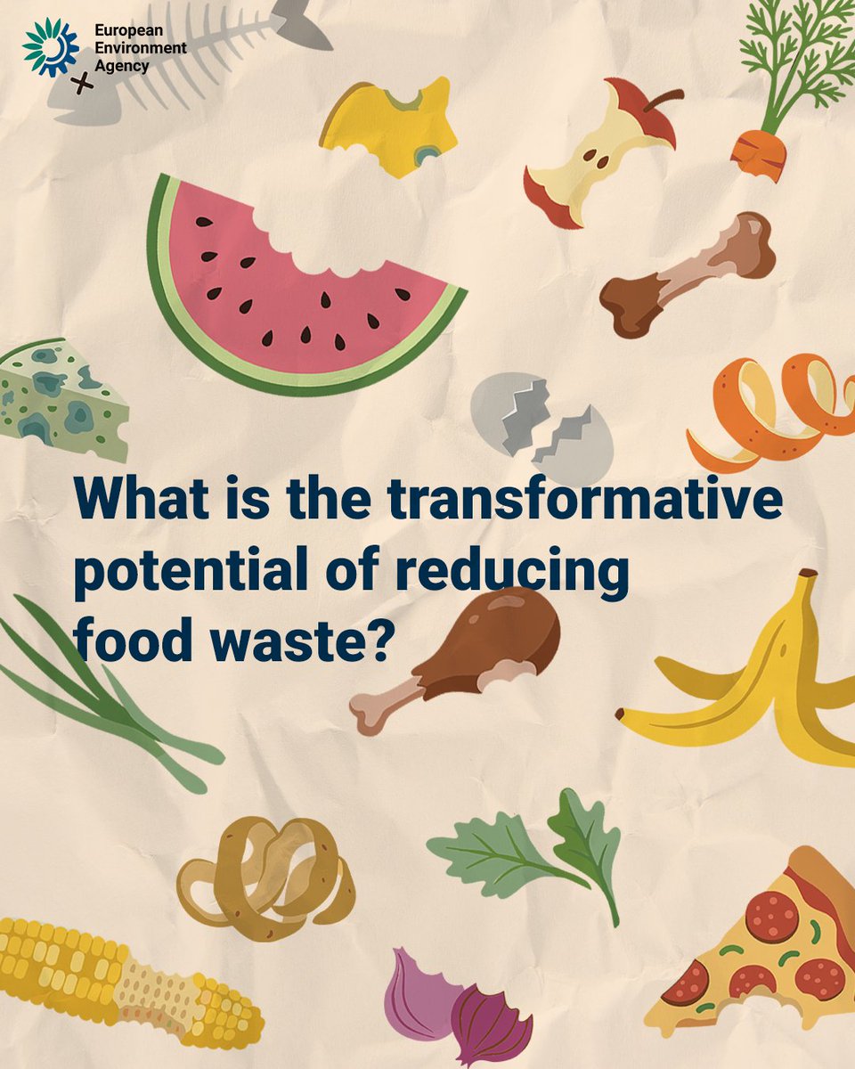 EUEnvironment's tweet photo. 🍎 132 kg of food wasted per person in the EU in 2022, over 59 million tonnes in total.

That also wastes land, water, energy and labour. Most of it could be avoided.

This #FLWDay, see how Europe is tackling food waste 👇https://t.co/OyJnxzcUJS https://t.co/scEgjJHHXr
