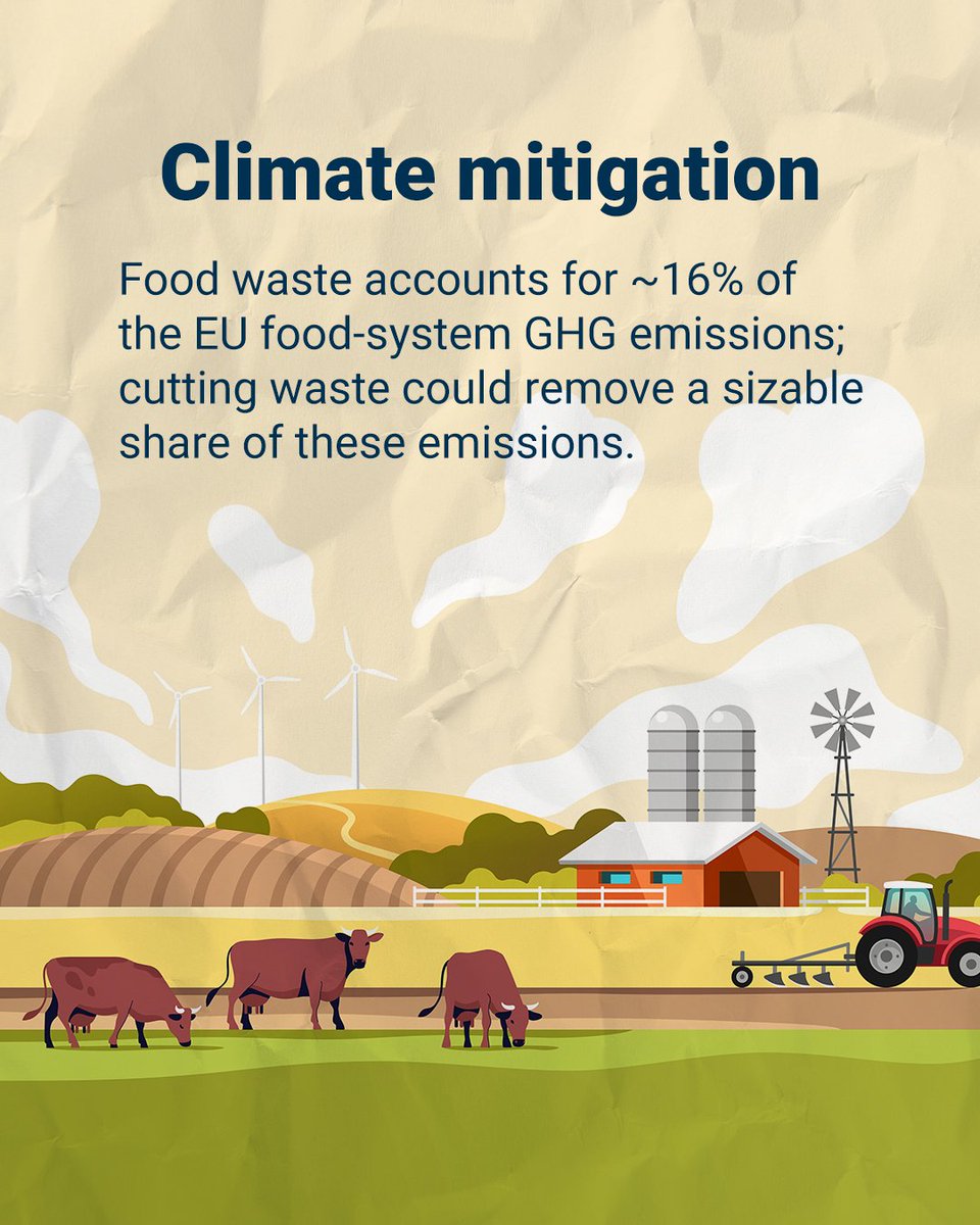 EUEnvironment's tweet photo. 🍎 132 kg of food wasted per person in the EU in 2022, over 59 million tonnes in total.

That also wastes land, water, energy and labour. Most of it could be avoided.

This #FLWDay, see how Europe is tackling food waste 👇https://t.co/OyJnxzcUJS https://t.co/scEgjJHHXr