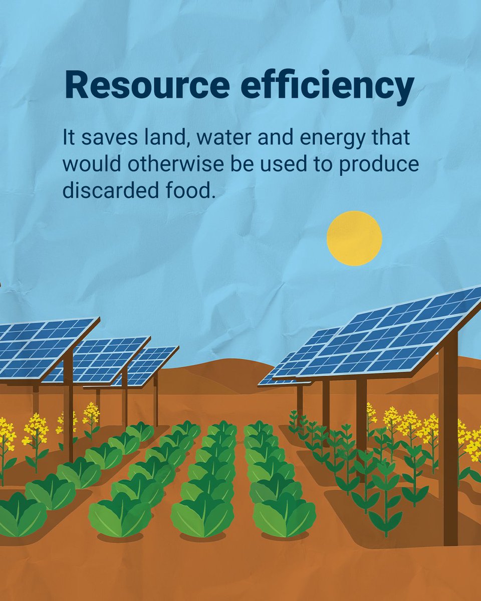EUEnvironment's tweet photo. 🍎 132 kg of food wasted per person in the EU in 2022, over 59 million tonnes in total.

That also wastes land, water, energy and labour. Most of it could be avoided.

This #FLWDay, see how Europe is tackling food waste 👇https://t.co/OyJnxzcUJS https://t.co/scEgjJHHXr