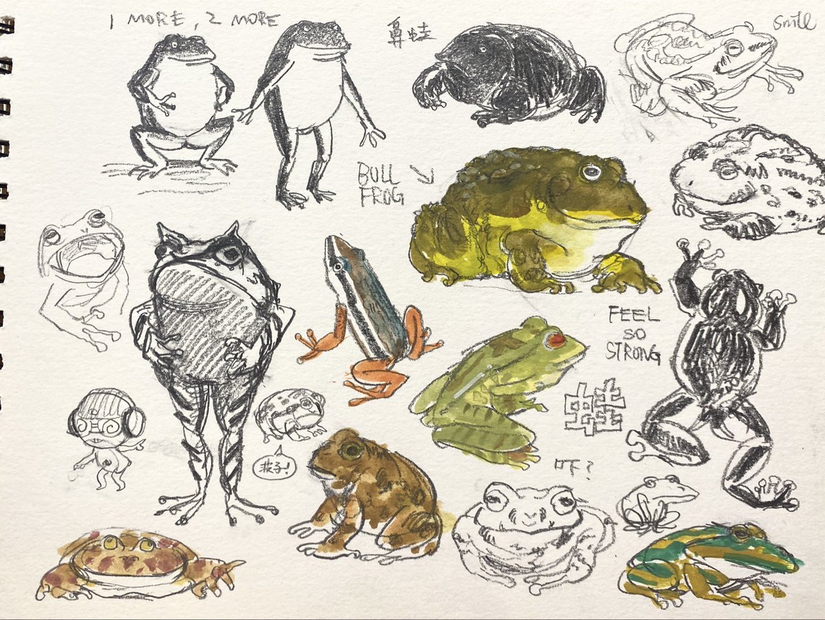 dawning_crow's tweet photo. Many frogs https://t.co/hCXJ5nN4gO