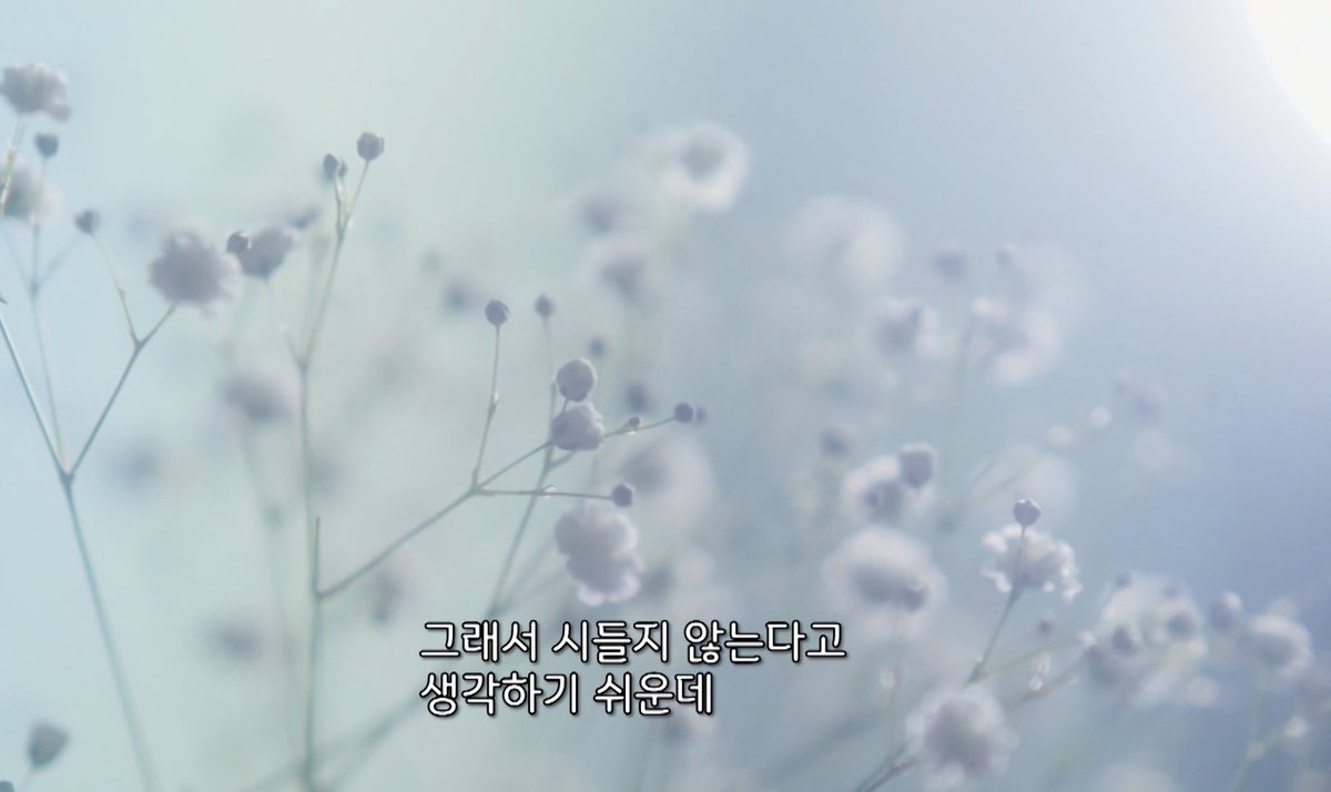 Eune__s2's tweet photo. 사회에 지친 이들과 안개꽃을 비유하는 게 너무 맘 아파서 할 말을 잃음 https://t.co/RUHLq7U9S0