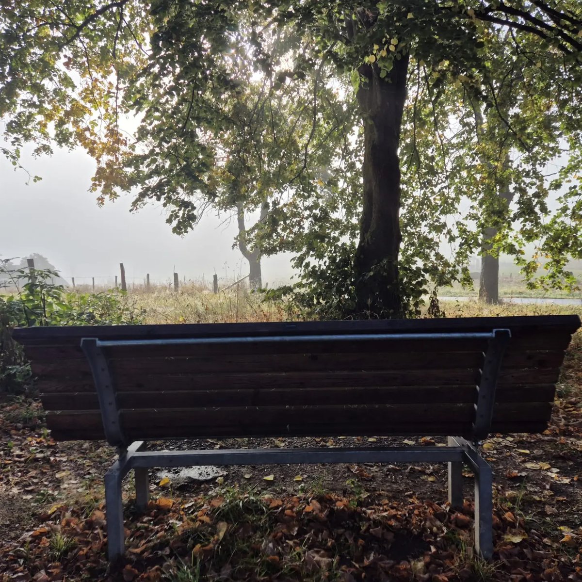 1990Maycon's tweet photo. Ein toller Start in den Tag mit dem zweiten Teil vom Social Media Workshop mit @scheinmeier und @annaheupel 🫶🏼

Vielen Dank für den großartigen Input und alle Teilnehmer🥰📱

#badberleburg #socialmedia #nature #siegenwittgenstein #august https://t.co/mlu9ehz9yW